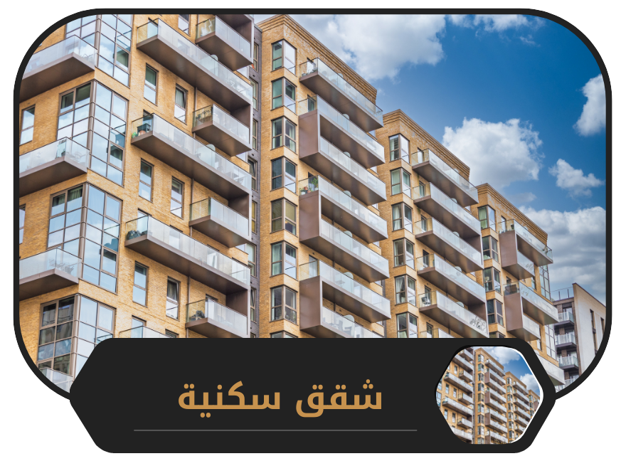 تصميم موقع الكتروني في السعودية , منصة نورالدين